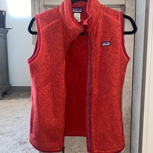 Patagonia vest